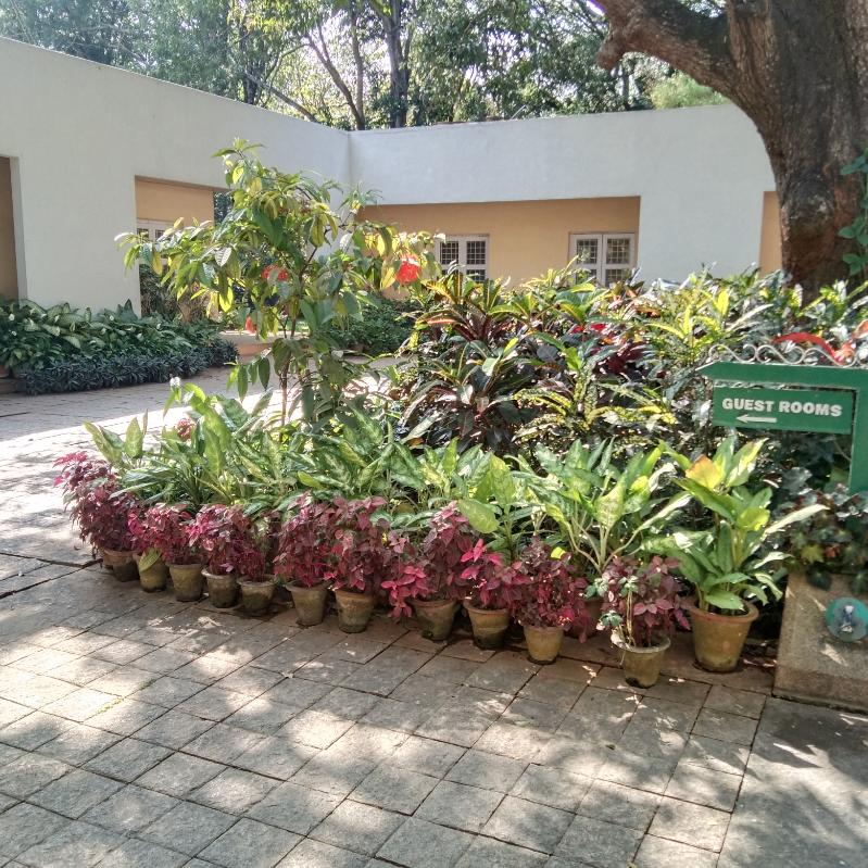 JNC Guest Room (IISC Campus)