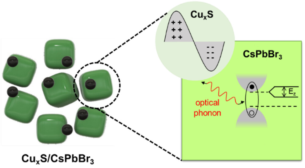 Nonresonant Exciton–Plasmon Interaction in Metal–Chalcogenide (CuxS)/Perovskite (CsPbBr3) Based Colloidal Heterostructure