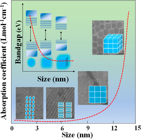 Experimental Determination of the Molar Absorption Coefficient of Cesium Lead Halide Perovskite Quantum Dots