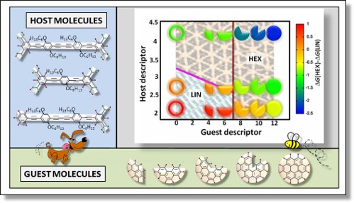 Descriptors for self assembly of organic molecules on surfaces