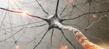 Protecting neurons from degeneration