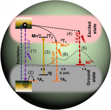 Exciton Dynamics in Mn/Ni Dual-doped Semiconductor Quantum Dots