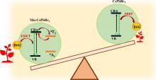 our work recently published in  the ACS ENERGY LETTERS where we have explored vibrationally assisted delayed fluorescence (VADF) in Mn-doped CsPbBr3 nanocrystals using Förster resonance energy transfer (FRET).